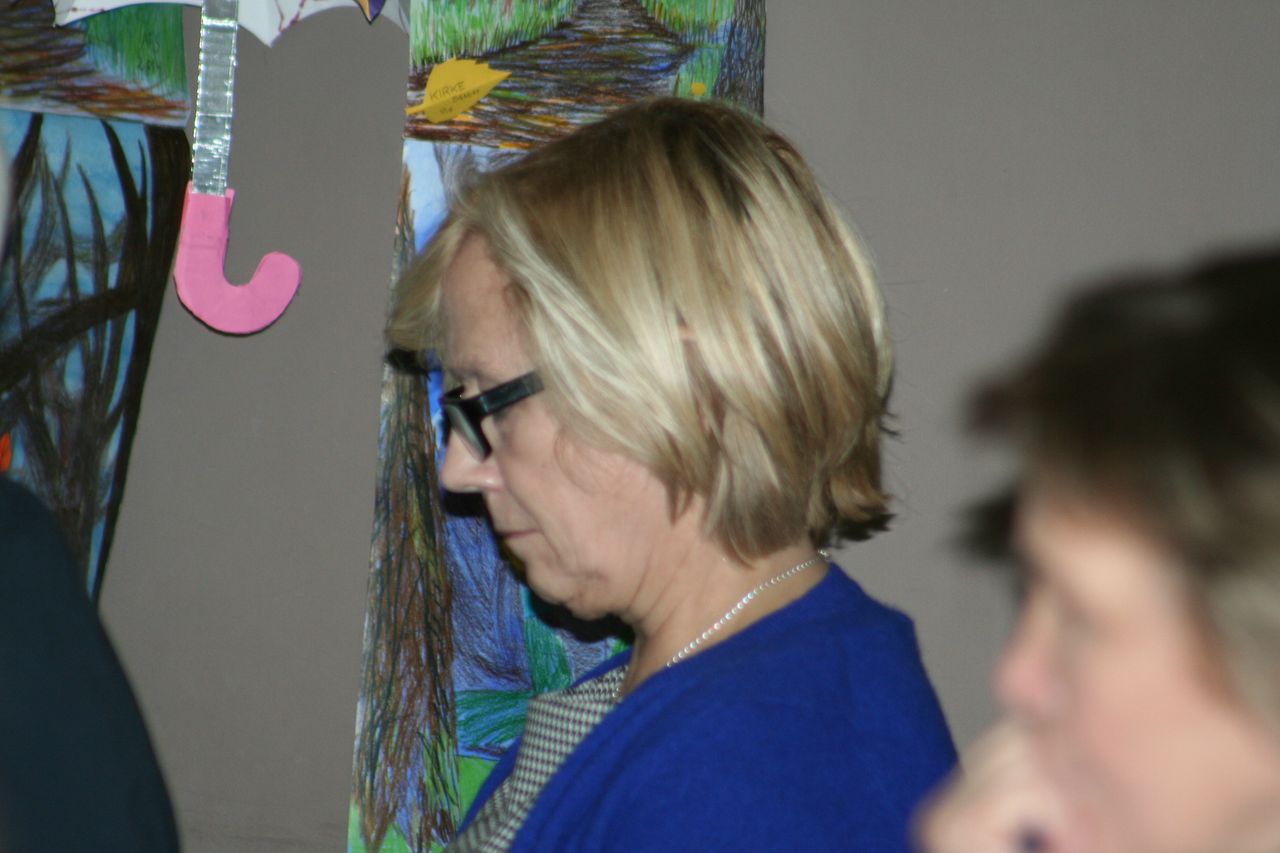 Maakondlik kultuurikonverents 2014